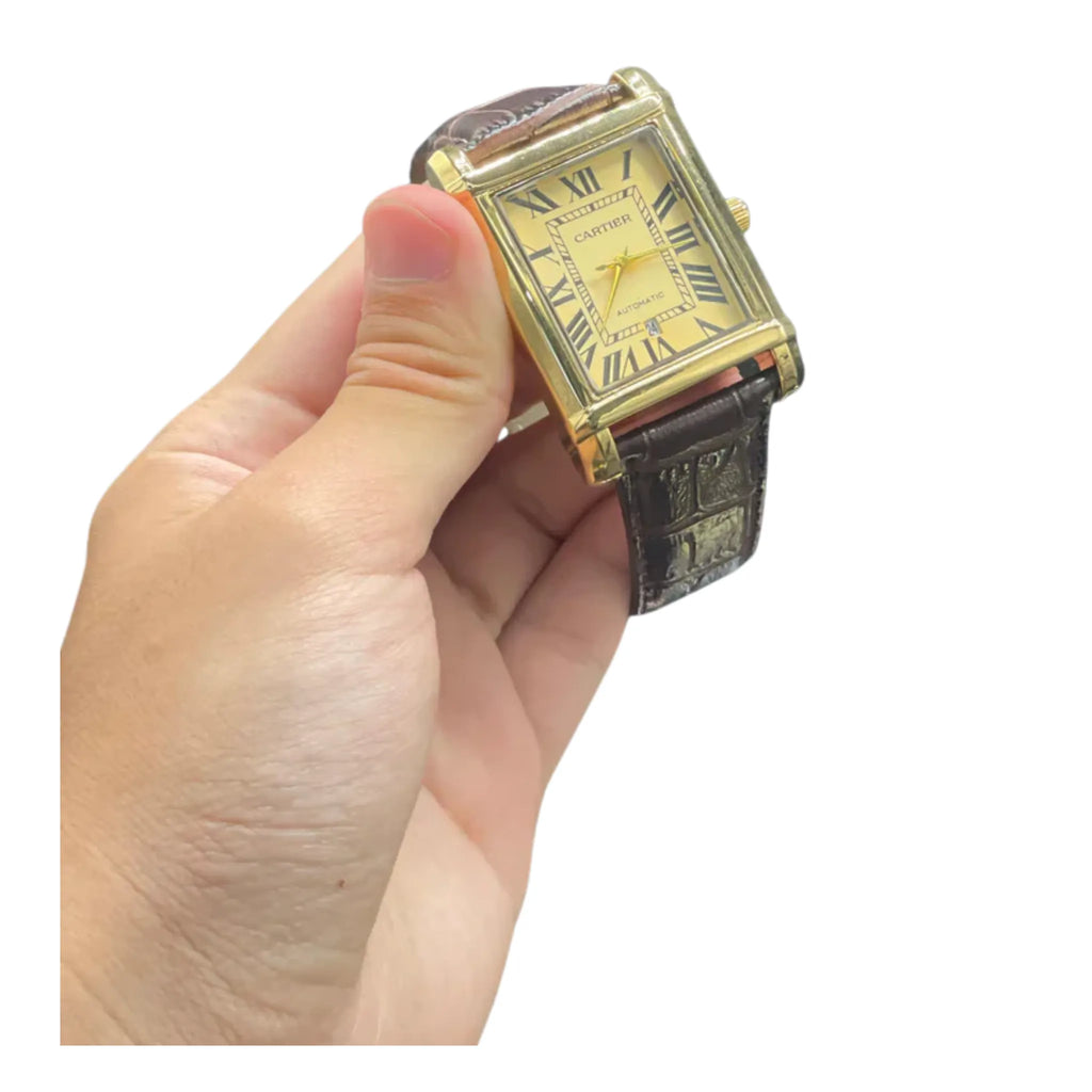 CTR Brown Leather Strap With Detailed Radiant Golden Dial Watch