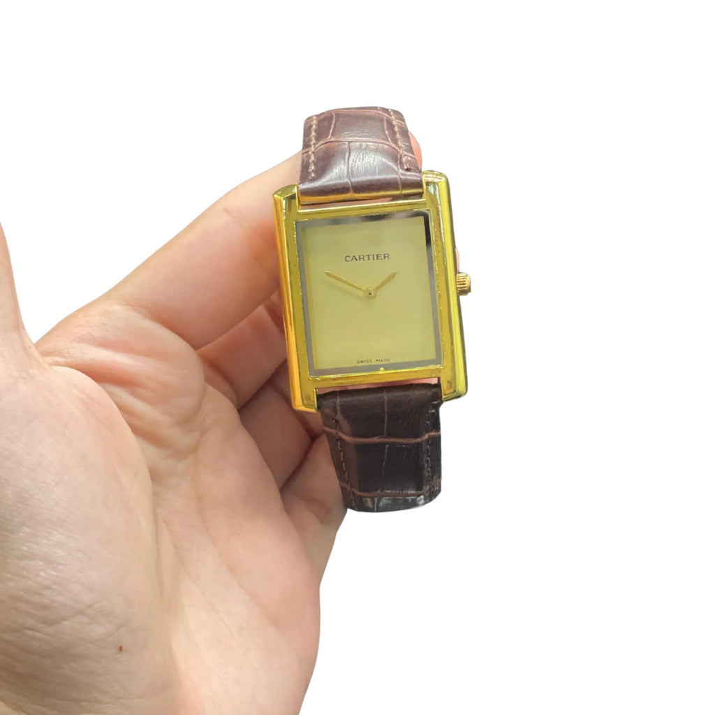 CTR Brown Leather Strap With Radiant Golden Dial Watch