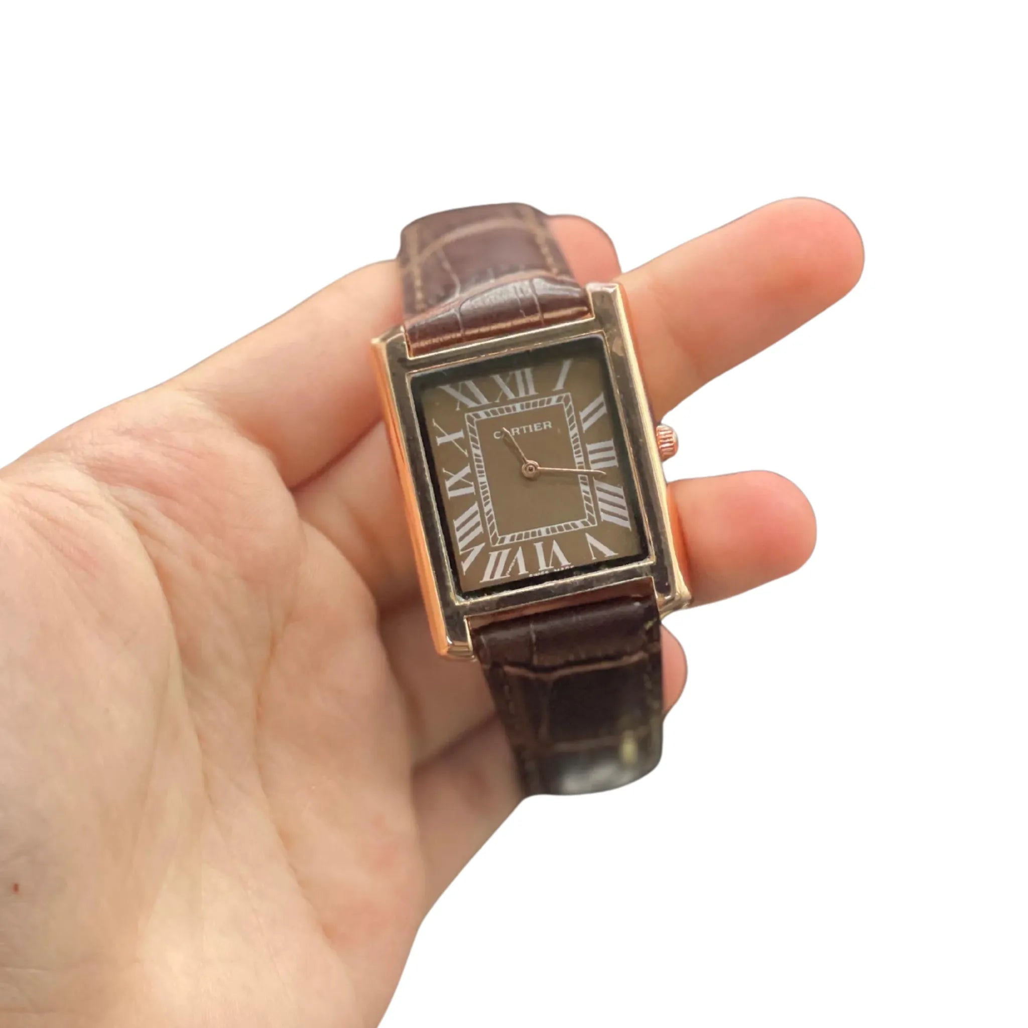 CTR Brown Leather Strap With Rich Detailed Brown Dial Watch