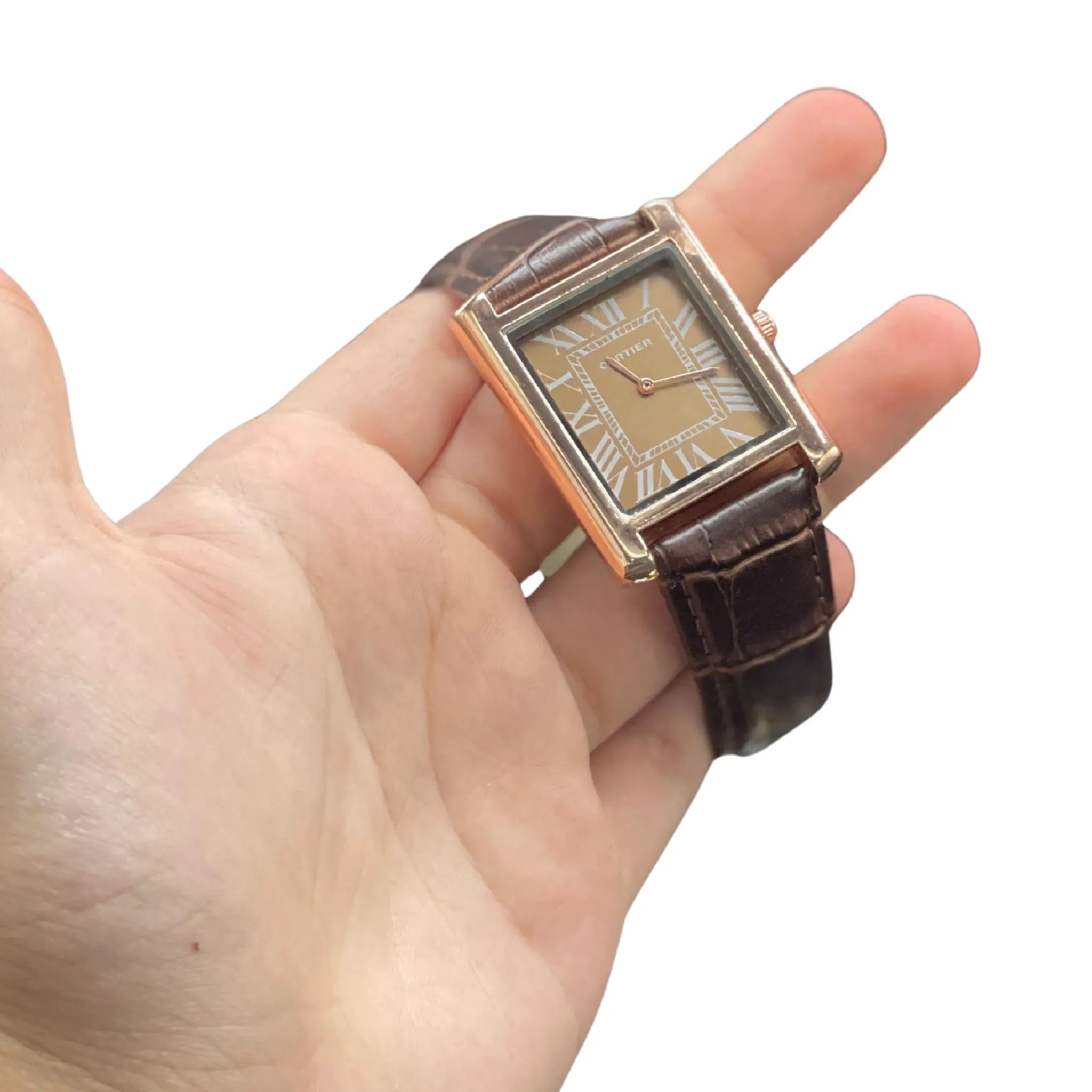 CTR Brown Leather Strap With Rich Detailed Brown Dial Watch